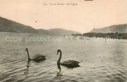 AK / Ansichtskarte Lac_du_Bourget_73 du Lac_Savoie_Le Les Cygnes 