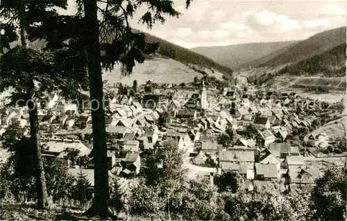 AK / Ansichtskarte Lautenthal_Harz Blick vom kleinen Bromberg Lautenthal Harz