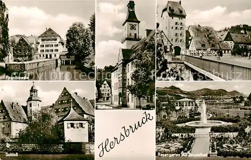 AK / Ansichtskarte Hersbruck Pegnitzpartie Rathaus Schloss Wassertor Rosengarten mit Strudelbad Hersbruck
