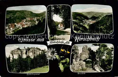 AK / Ansichtskarte Hirschbach_Oberpfalz Panorama Mittelbergwand Noristoerle Hirschbach Oberpfalz