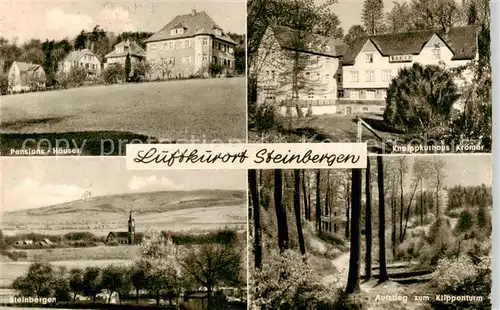 AK / Ansichtskarte Steinbergen Pensionshaeuser Kneippkurhaus Kroemer Panorama Aufstieg zum Klippenturm Steinbergen