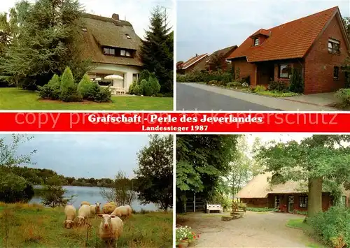 AK / Ansichtskarte Grafschaft_Friesland Friesenhaeuser Schafherde Park Grafschaft_Friesland