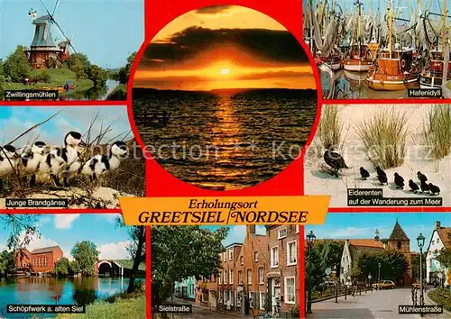 AK / Ansichtskarte Greetsiel Zwillingsmuehlen Junge Brandgaense Schoepfwerk am alten Siel Sielstrasse Hafen Eiderenten Muehlenstrasse Greetsiel