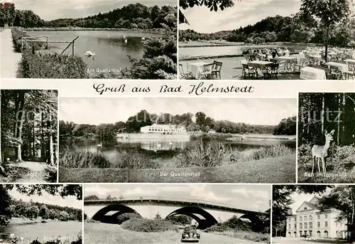 AK / Ansichtskarte Bad_Helmstedt Am Quellenhof Brunnental Reh im Lappwald Brunnentheater Bad_Helmstedt