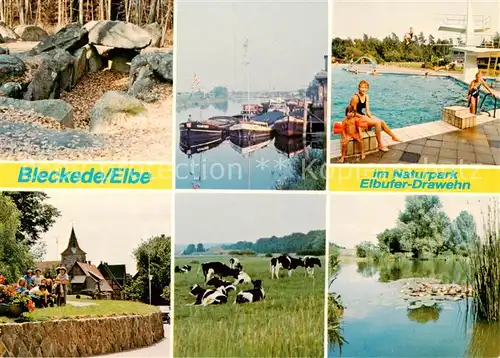 AK / Ansichtskarte Bleckede Elbepartie Frachter Schwimmbad Kirche Weidevieh Teich Bleckede