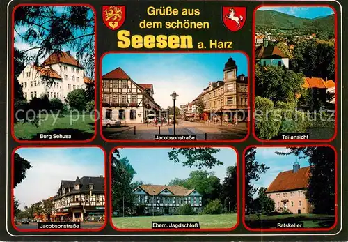 AK / Ansichtskarte Seesen_Harz Burg Sehusa Jacobsonstrasse Teilansicht Ehem Jagdschloss Ratskeller Seesen Harz