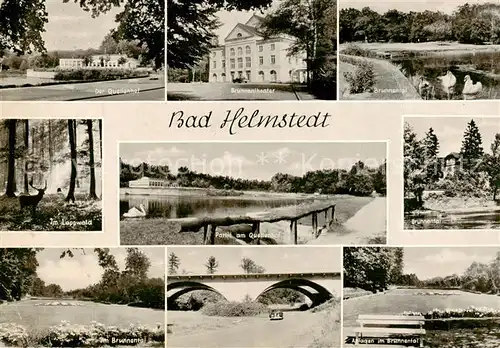 AK / Ansichtskarte  Bad_Helmstedt Quellenhof Brunnentheater Brunnental Im Lappwald Partie am Quellenteich Bruecke Anlagen im Brunnental Bad_Helmstedt