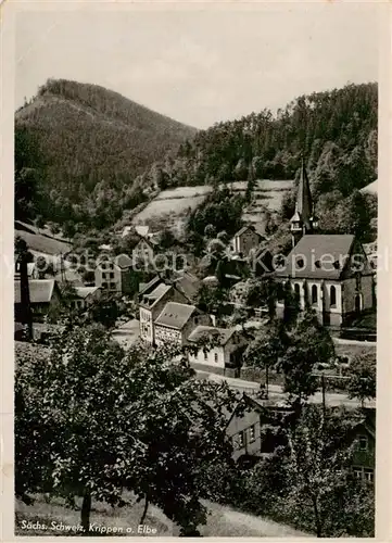 AK / Ansichtskarte  Krippen_Bad_Schandau Ortsansicht Krippen_Bad_Schandau