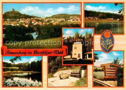 AK / Ansichtskarte  Flossenbuerg Panorama Burg Camping Freibad Wanderwege Flossenbuerg