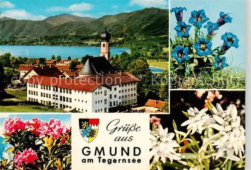 AK / Ansichtskarte Gmund_Tegernsee Panorama Alpenflora Blauer Enzian Edelweiss Gmund Tegernsee