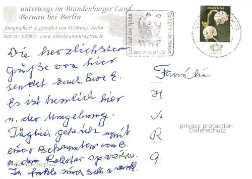 AK / Ansichtskarte 73840105 Bernau_Berlin_Mark Kriegerdenkmal Steintor und Hungerturm Pulverturm Kantorhaus Denkmal Zickenschulze Henkerhaus 