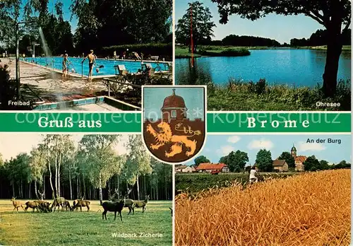 AK / Ansichtskarte  Brome_Niedersachsen Freibad Ohresee Wildpark Zicherie An der Burg Brome Niedersachsen