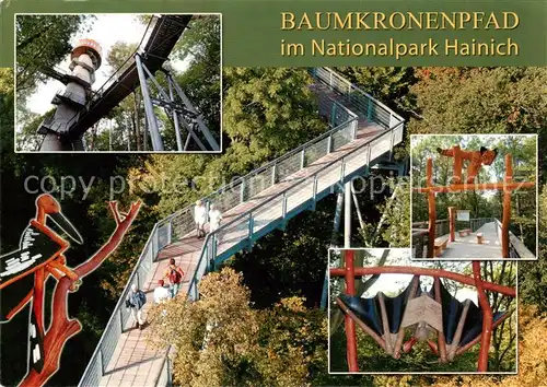 AK / Ansichtskarte  Hainich-Hoerselberg Baumkronenpfad im Nationalpark Hainich Details Hainich-Hoerselberg