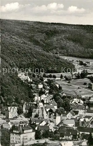 AK / Ansichtskarte  Schmitten__Taunus Panorama 