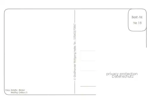 AK / Ansichtskarte Werben_Niederlausitz Wendische Kirche Werbener Fastnacht Spreewaldwirt Lebensmittelhandel Schefter Werbener Kopfweiden Werben_Niederlausitz