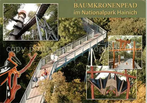 AK / Ansichtskarte Hainich Hoerselberg Baumkronenpfad im Nationalpark Hainich Hainich Hoerselberg
