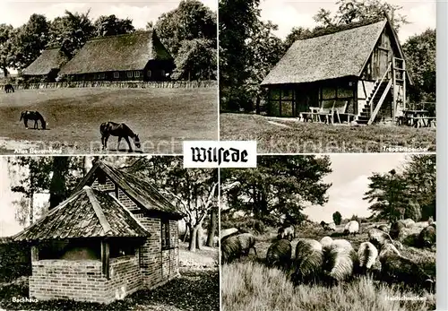 AK / Ansichtskarte 73840442 Wilsede_Lueneburger_Heide Altes Bauernhaus Treppenspeicher Backhaus Heidschnucken Wilsede_Lueneburger_Heide