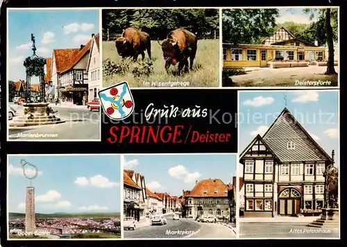 AK / Ansichtskarte 73840444 Springe_Deister Marienbrunnen Im Wisentgehege Deisterpforte Goebel Pastei Marktplatz Altes Petershaus Springe_Deister