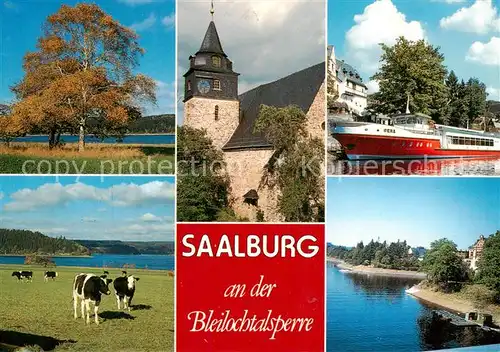 AK / Ansichtskarte 73840473 Saalburg-Ebersdorf Bleichlochtalsperre Platte bei Kloster Marienkirche Anlegestelle Hotel Kranich Bootsverleih Schule Forsthaus Saalburg-Ebersdorf