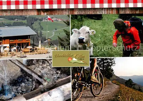 AK / Ansichtskarte Reutte_Tirol Ehenbichler Alm Almvieh Radtour Brunnen Reutte Tirol