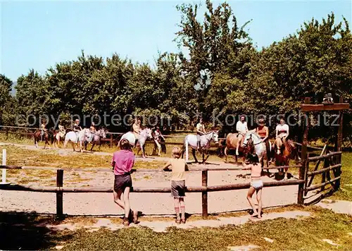 AK / Ansichtskarte  Rinteln Ponyhof Gerda Schulze Rinteln