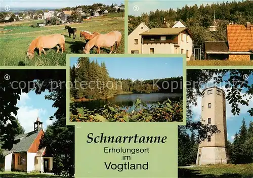 AK / Ansichtskarte Schnarrtanne und Umgebung Erholungsgebiet im Vogtland Kirche Stausee Kapelle Carlsturm Schnarrtanne