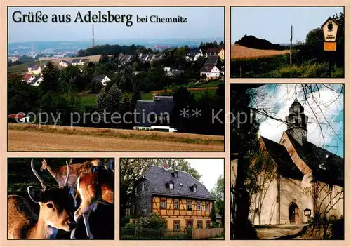 AK / Ansichtskarte Adelsberg_Chemnitz Stadtpanorama Flaechennaturdenkmal Kirche Damwild Fachwerkhaus Adelsberg Chemnitz