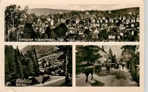 AK / Ansichtskarte Friedrichroda Stadtpanorama Luftkurort Damenkapelle Viehtrieb Friedrichroda