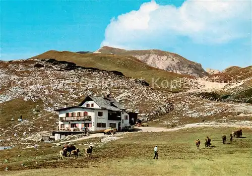 AK / Ansichtskarte 73841401 Dolomiti__Dolomiten_IT Rifugio Sennes verso il Col di Ricegon 