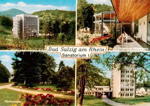 AK / Ansichtskarte 73841421 Bad_Salzig Sanatorium I Trinkhalle Wandelgang Parkanlagen Bad_Salzig