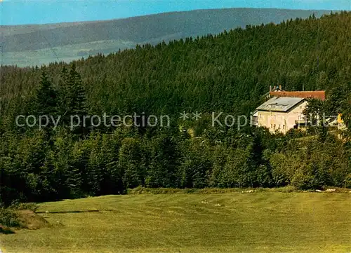 AK / Ansichtskarte  Altglashuette_Oberpfalz Gasthof Pension Blei Altglashuette_Oberpfalz