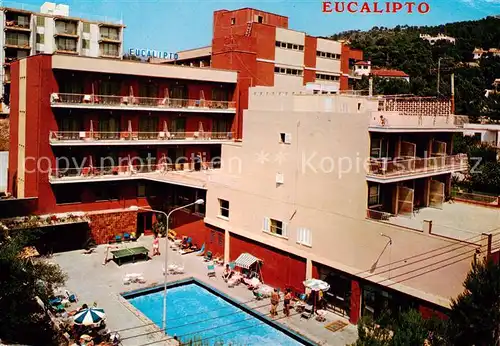 AK / Ansichtskarte  Paguera_Mallorca_Islas_Baleares_ES Hostal Eucalipto 