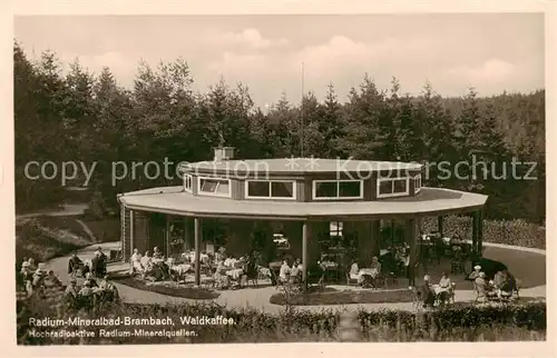 AK / Ansichtskarte  Bad_Brambach Radium Mineralbad Waldkaffee Bad_Brambach