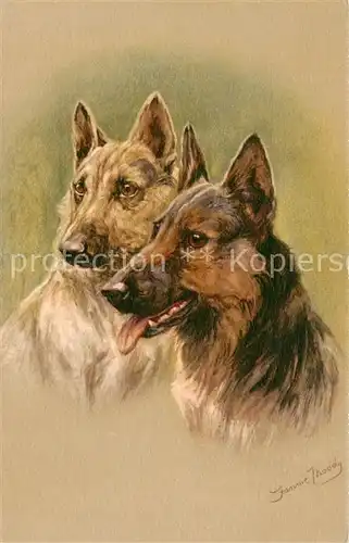 AK / Ansichtskarte Hunde Hunde 