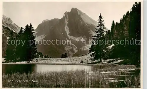 AK / Ansichtskarte Graeppelensee_Wildhaus_SG Panorama 