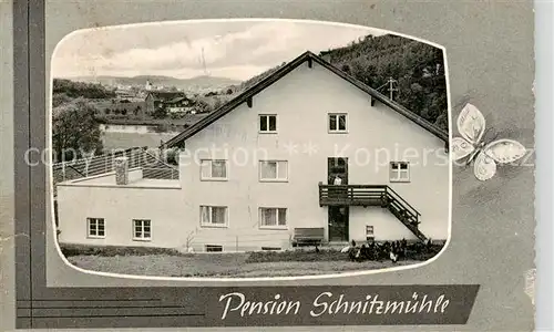 AK / Ansichtskarte Viechtach_Bayerischer_Wald Pension Schnitzmuehle Viechtach_Bayerischer