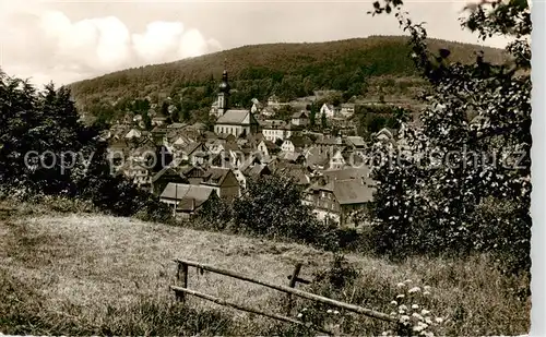 AK / Ansichtskarte Bad_Brueckenau Panorama Bad_Brueckenau