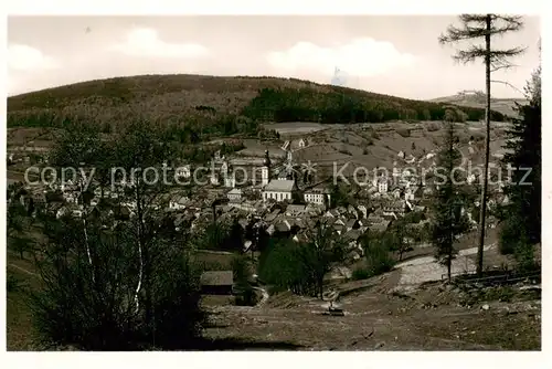 AK / Ansichtskarte Bad_Brueckenau Panorama Bad_Brueckenau