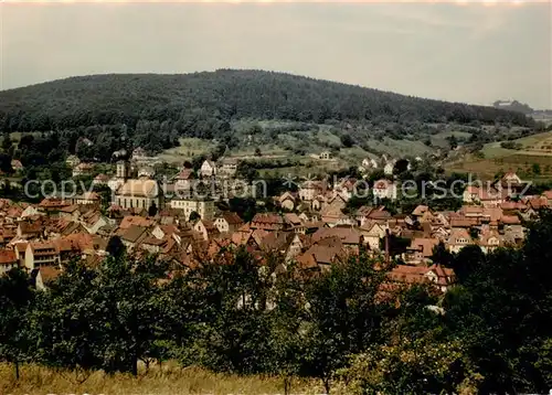 AK / Ansichtskarte Bad_Brueckenau Panorama Bad_Brueckenau