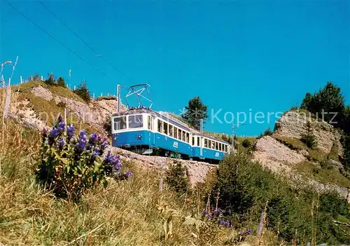 AK / Ansichtskarte  Bergbahn Rigi Arth Rigi Bahn Bergbahn