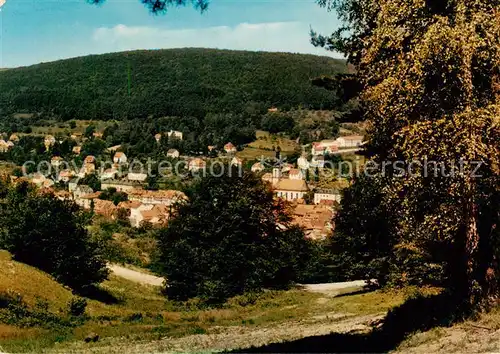 AK / Ansichtskarte  Bad_Brueckenau Panorama Kurort Naturpark Bayerische Rhoen Bad_Brueckenau