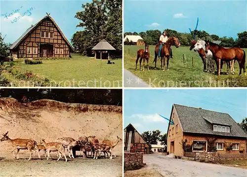 AK / Ansichtskarte  Marleben Fachwerkhaus Pferdeherde Wildfuetterung Reiterhof Klaucke Marleben