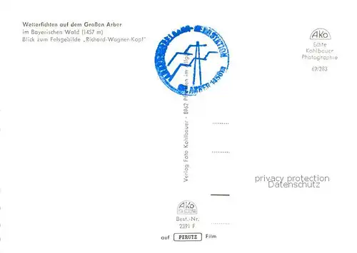 AK / Ansichtskarte Baeume_Trees_Arbres_Arboles Wetterfichten auf dem Grossen Arber Bayerischer Wald 