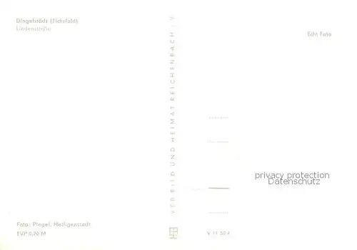 AK / Ansichtskarte Dingelstaedt_Eichsfeld Lindenstrasse Dingelstaedt_Eichsfeld
