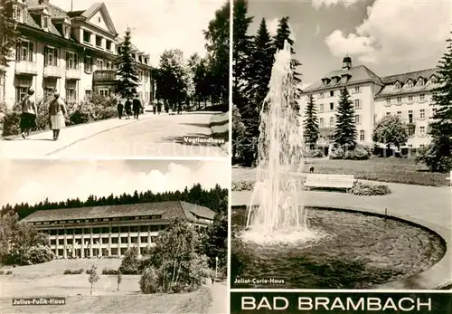 AK / Ansichtskarte Bad_Brambach Vogtlandhaus Julius Fucik Haus Joliot Curie Haus Bad_Brambach