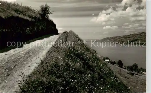 AK / Ansichtskarte Krattigen_BE Partie am Thunersee 