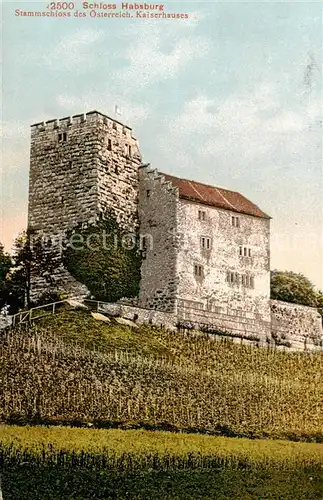 AK / Ansichtskarte Habsburg_Schloss_AG Schloss Habsburg 