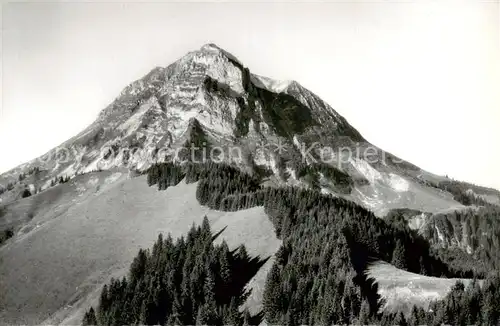 AK / Ansichtskarte Le_Moleson_2006m_FR Gipfelblick 