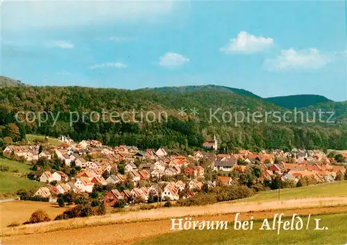 AK / Ansichtskarte  Hoersum Panorama Hoersum