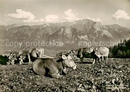 AK / Ansichtskarte  Triesen_Liechtenstein_FL Alpidyll am Alvier mit Falknisblick 